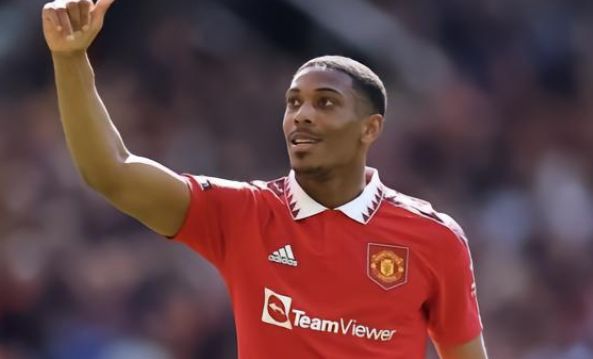 毅力被誉为 毅力被誉为