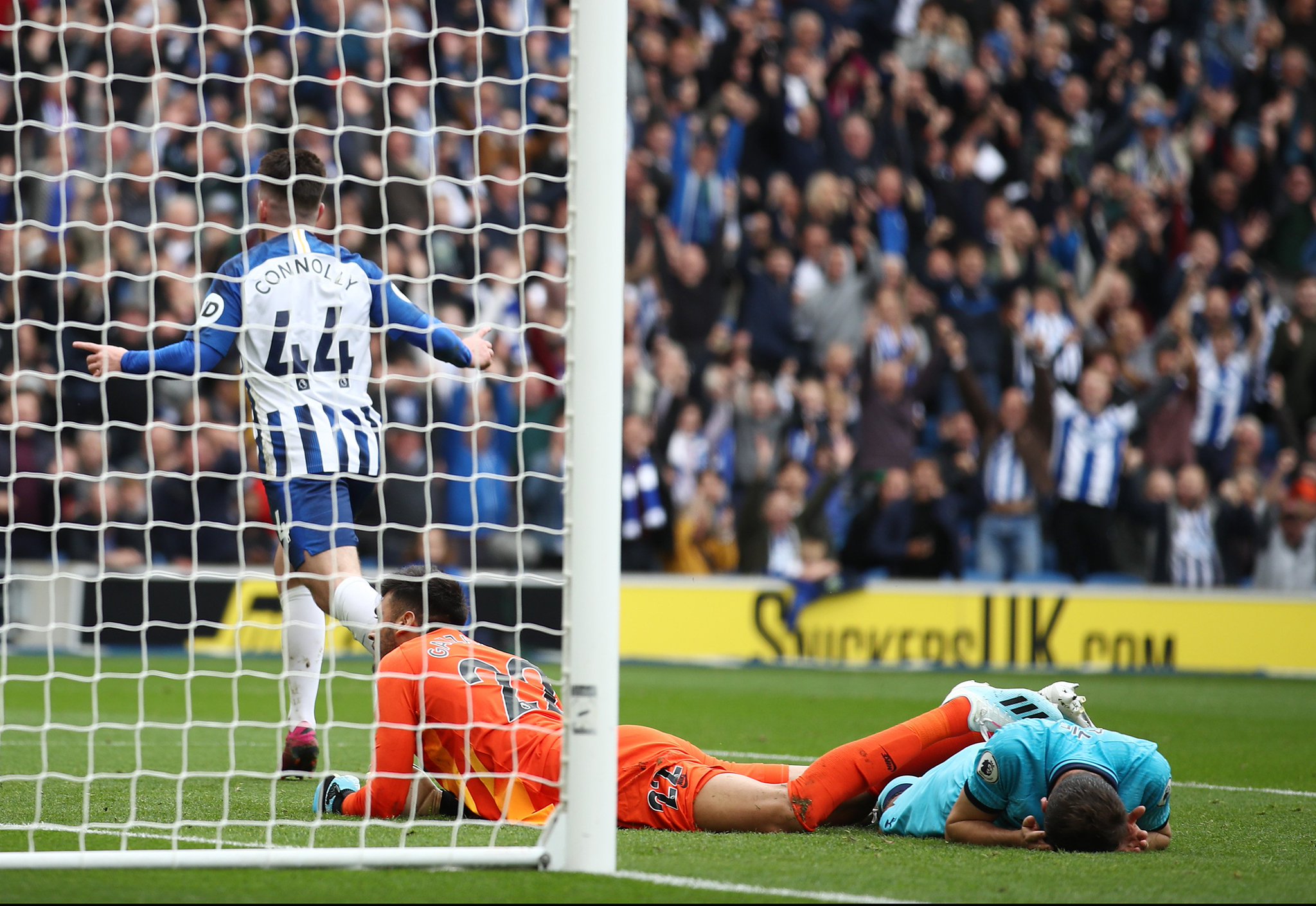 情的精神引 情的精神引